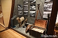 VBS_0931 - Riapre il Museo di Scienze Naturali dopo dieci anni di chiusura